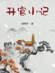 游戏之升官小记