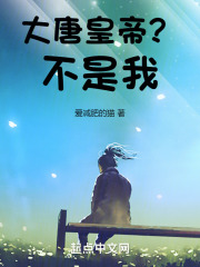 大唐皇帝？不是我