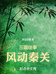 三国往事：风动秦关