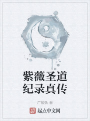 紫薇圣道纪录真传