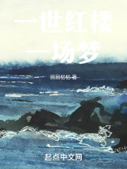 一世红楼，一场梦
