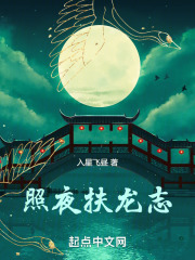 照夜扶龙志