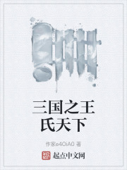 三国之王氏天下