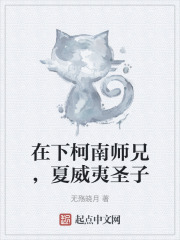 在下柯南师兄，夏威夷圣子