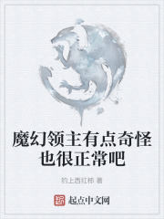 魔幻领主有点奇怪也很正常吧