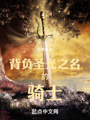 背负圣光之名的骑士