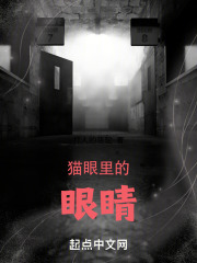 猫眼里的眼睛
