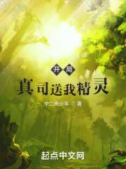 开局真司送我精灵