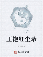 王饱红尘录