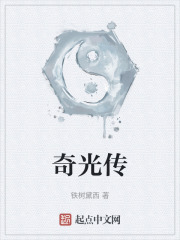 奇光传