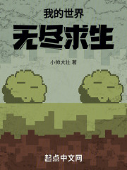 我的世界：无尽求生