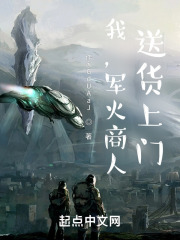 我，军火商人，送货上门