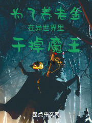 为了养老金在异世界里干掉魔王