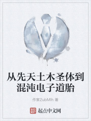 从先天土木圣体到混沌电子道胎