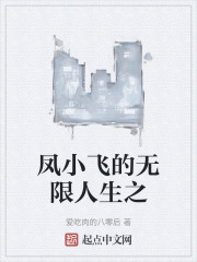 凤小飞的无限人生之小说