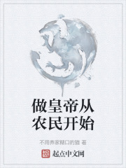 做皇帝从农民开始
