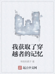 我获取了穿越者的记忆