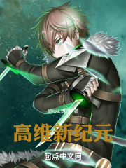 高维新纪元