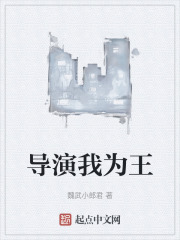 导演我为王