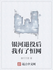 银河退役后我有了恒网