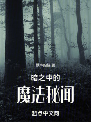 暗之中的魔法秘闻