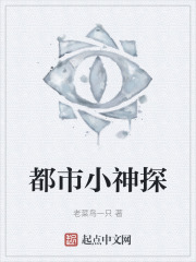 都市小神探