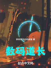 数码道长