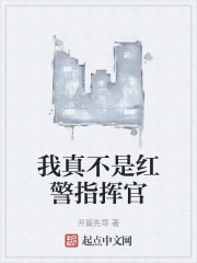 我真不是红警指挥官