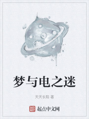 梦与电之迷