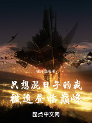 只想混日子的我：被迫登临巅峰