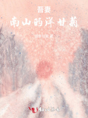 吾妻，南山的洋甘菊