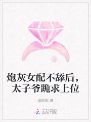 炮灰女配不舔后，太子爷跪求上位