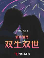 繁华落尽双生双世