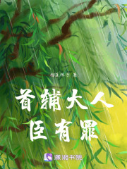 首辅大人，臣有罪