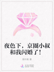 夜色下，京圈小叔和我闪婚了！