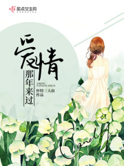 爱情那年来过