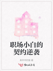 职场小白的契约逆袭