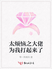 太烦恼之大佬为我打起来了