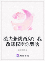 渣夫兼祧两房？我改嫁权臣你哭啥
