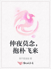 仲夜莫念，抱朴飞来
